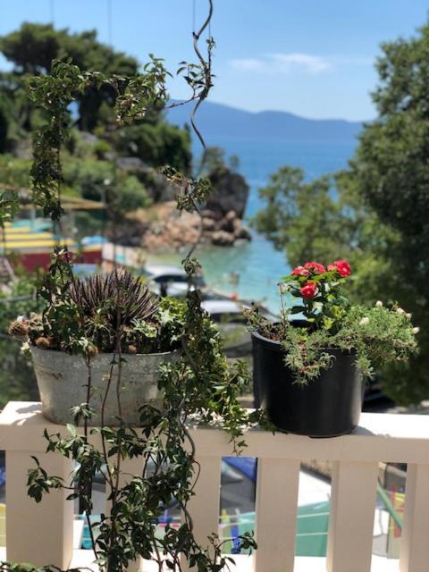 Villa Bosac Gradac  Exterior foto